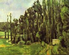 Haga click para ver la imagen ampliada poplar trees.jpg